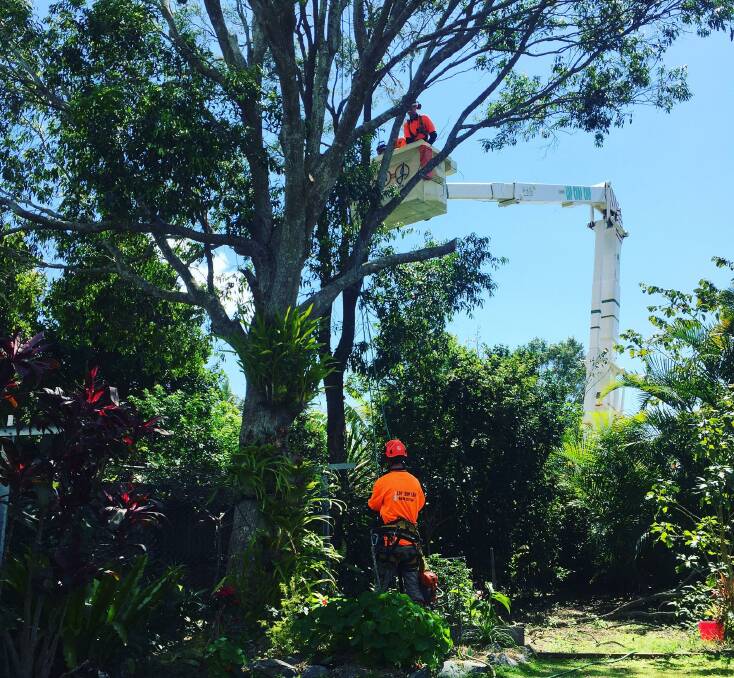 Contact Lop Chop Chip for your Bay Island tree services. Photo: Courtesy of Lop Chop Chip. 