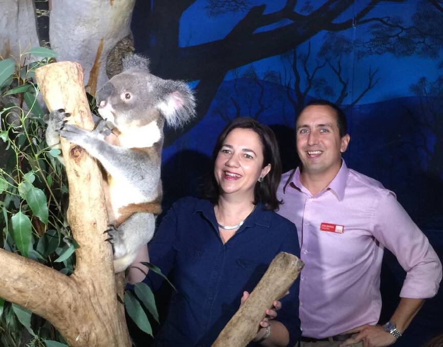 DROP BEARS: Capalaba MP Don Brown and Premier Annastacia Palaszczuk check out a koala at Lone Pine