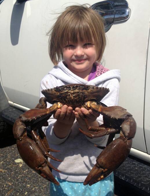 GREAT CATCH: Young Eva McPhee with a good-sized mud crab from the Gold Coast canals. Photos: Supplied