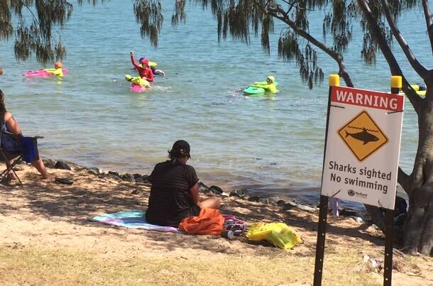 RABY BAY: Confusion reigns over whether reported shark sightings are the real thing. Lifesavers are investigating the issue.