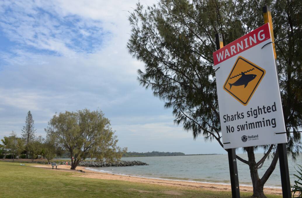BEACH CLOSED: Redland City Council signs warn away swimmers at Raby Bay after a shark was seen. A leading scientist says it would most likely be a bull shark or whaler.