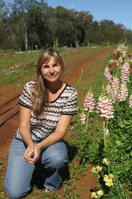 PRETTY FOOD: Simon Jelley of Lamb Island on her farm which has won a national award for its high quality produce.
