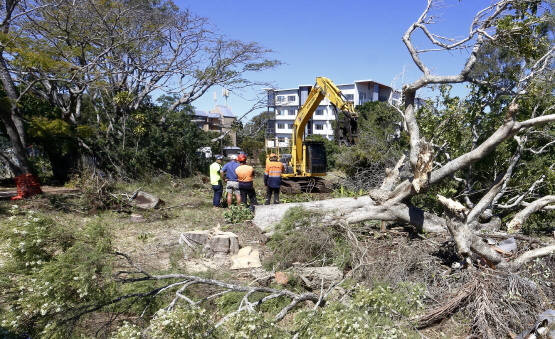 HABITAT CLEARING: These remnant koala food trees at Shore Street East were critically important as they supported the last handful of koalas surviving at Cleveland. Photo: Chris Walker.
