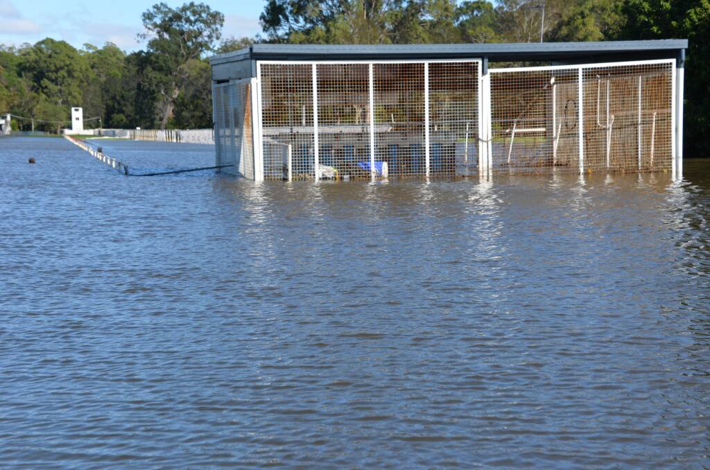 SLOW TRACK: The starter boxes and greyhound track are submerged at Capalaba.