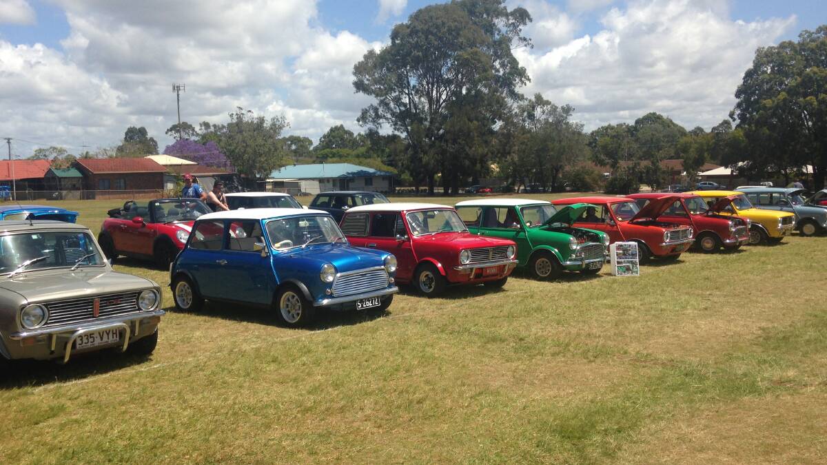 Some of the cars on show at the 2015 event.