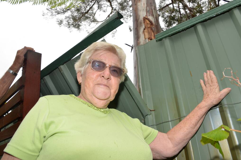 TREE ISSUE: Beryl Batchelor at the damaged fence, with the tree in the background.