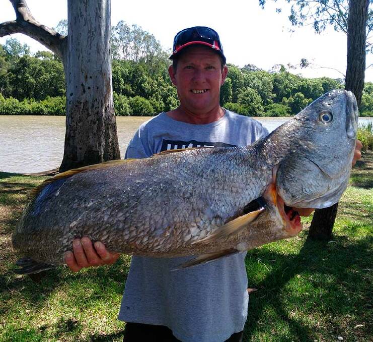 Kevin Smith with a 18kg mulloway from off the Jumpinpin Bar.