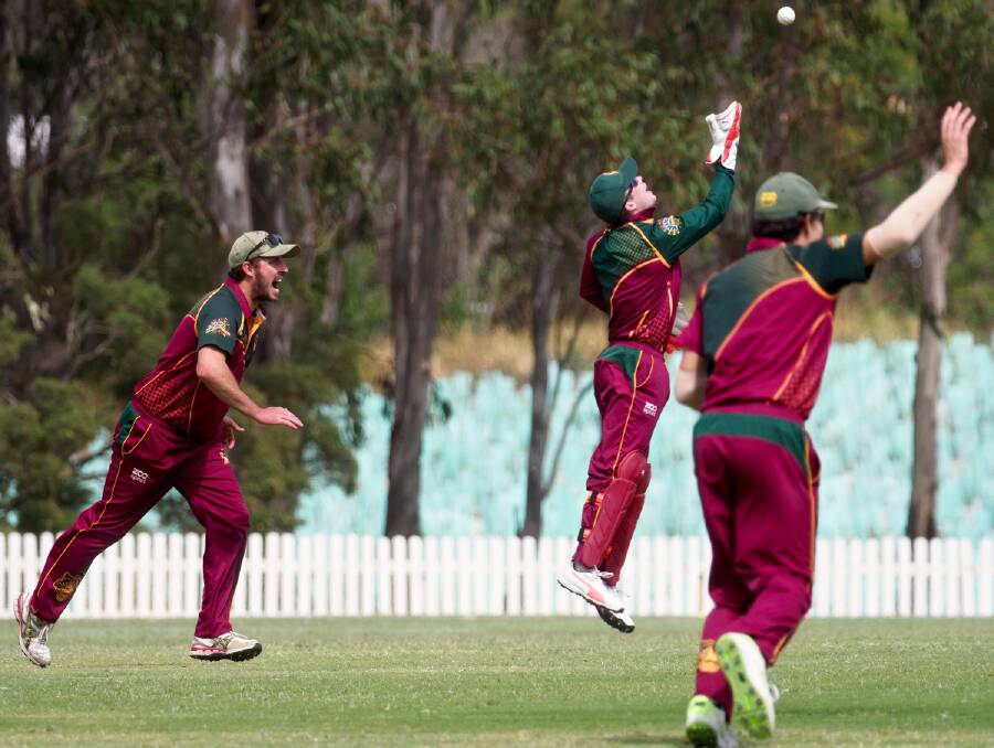 Got him: Redlands Tigers players celebrate the taking of a wicket on the wekeend. Photos by Alan Minifie.