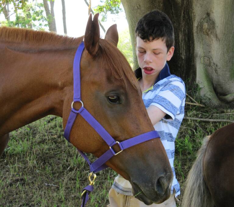 EQUINE THERAPY: Dylan Howe with Trevor, a horse at Calisto Park Equestrian Centre. Photo: Supplied