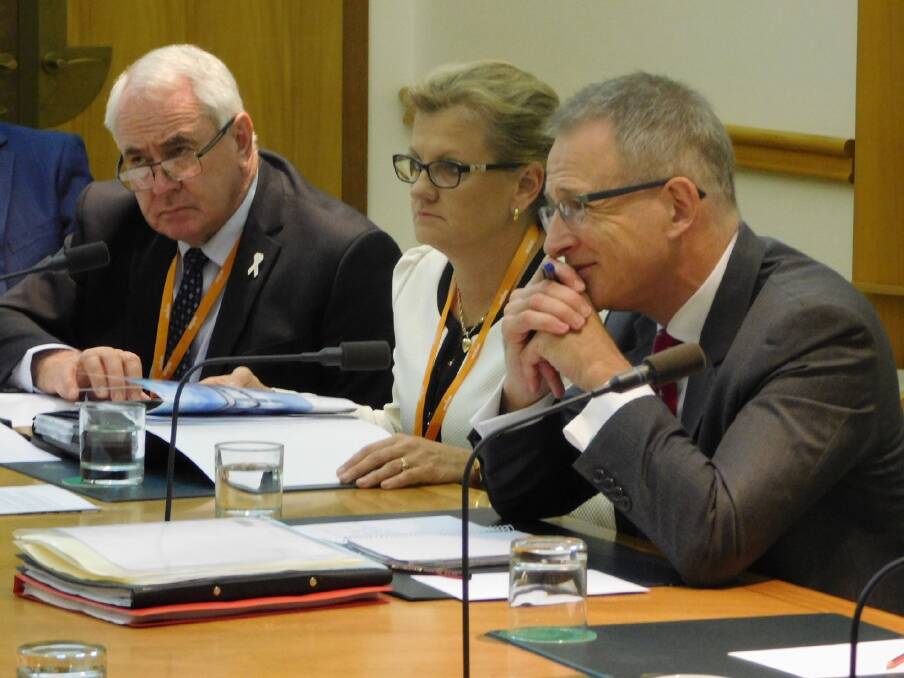 IN CANBERRA: Redland City mayor Karen Williams is one of the south-east Queensland mayors lobbying federal government. Photo: Supplied
