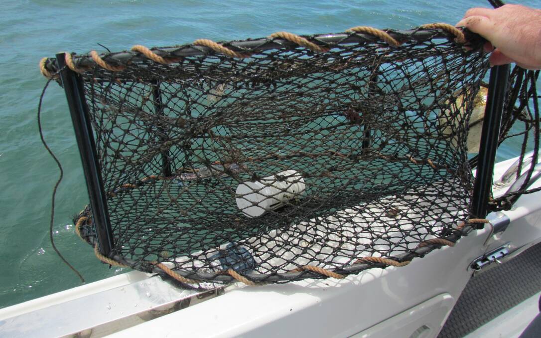 CRAB POTS: Fishers are limited to a maximum of four crab pots per person in conservation park zones. Photo: Queensland Government