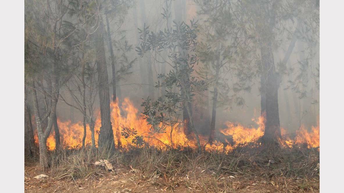Vegetation fire on Straddie
