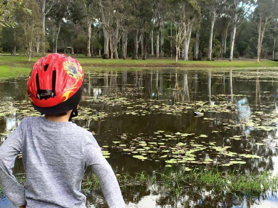 GET OUTDOORS: Five-year-old Hendrik Booysen enjoys a bike ride in the park. Photo: Jackie Booysen