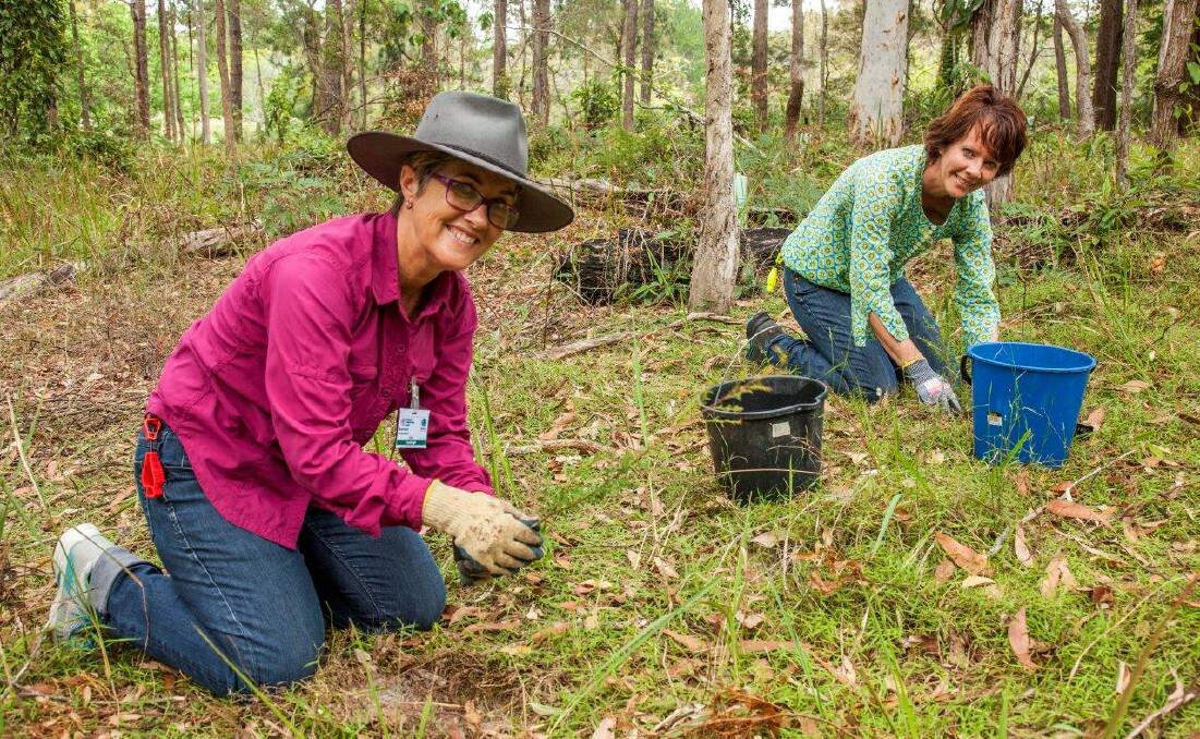 GET PLANTING: IndigiScapes Bushcare Group volunteers Lesleigh Davis and Robyn Gray at one of their regular plantings. Photo: Supplied