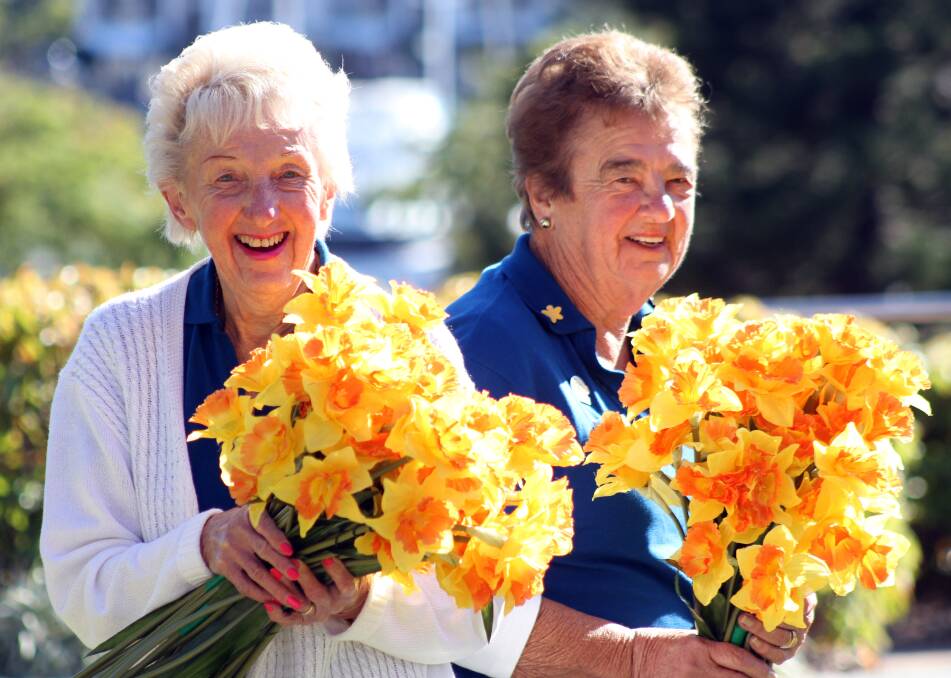 DAFFODILS: Dell Boyd and Linda Turner are among the volunteers who help turn the Redlands yellow in support of Daffodil Day. 