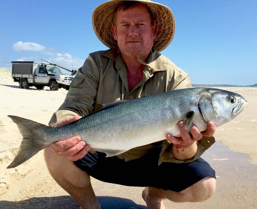 NICE CATCH: Damien Bourke with a whopper three kilogram tailor which was caught on South Ballina Beach, northern NSW.