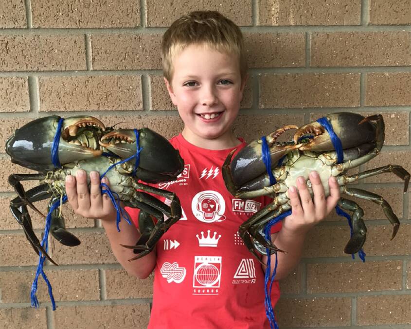  CRABS GALORE :Eight-year-old Thomas Brehmer with a feed of mud crabs from Jumpinpin. 