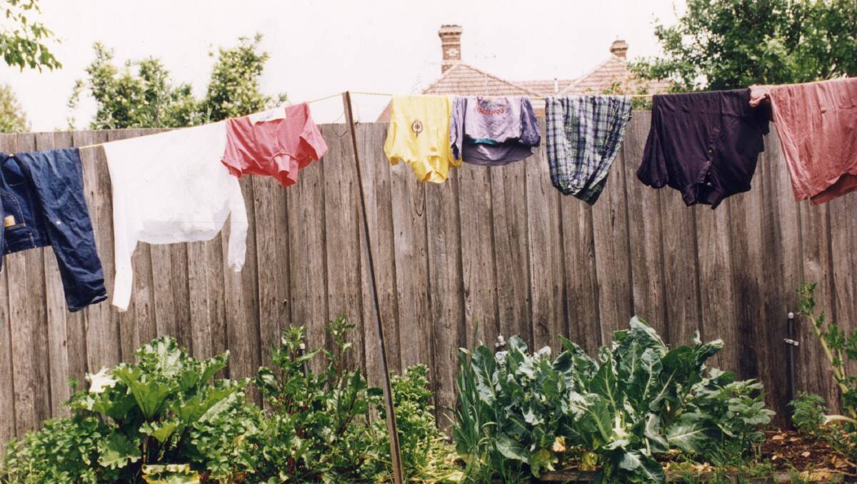 WALK AWAY FROM THE WASHING: In the likely event this washing is riddled with pollen, assign the folding duties to someone else.