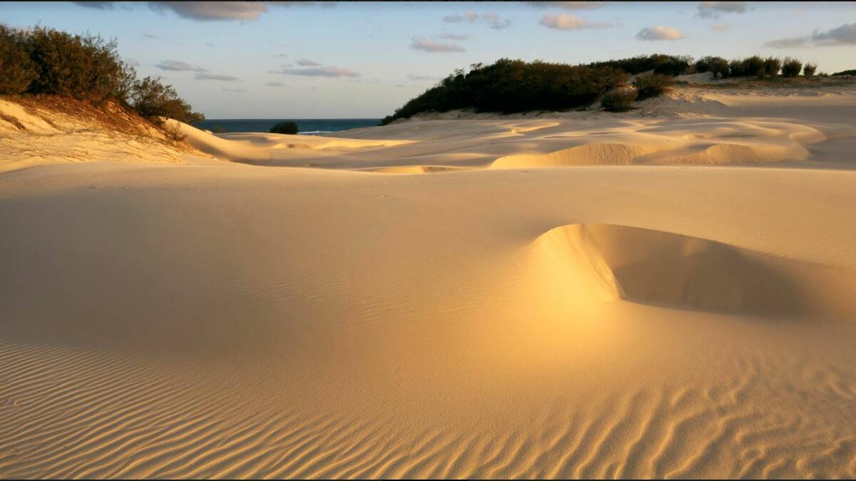 Sandhills on Moreton Island. Photo: Supplied.