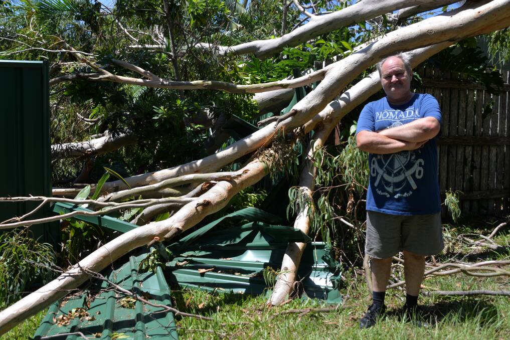 'ACT OF GOD': Alexandra Hill's man Warren Hawkes stands next to the fallen tree. The branches were cleared away by council on Thursday after last Sunday's storm. Photo: Hannah Baker