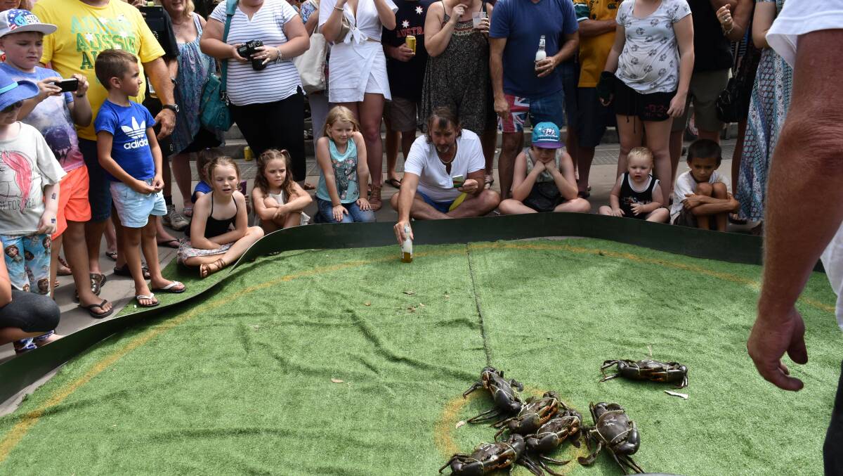 FANTASTIC RACE:  Mud crabs were raced to raise money for NRL legend Dale Shearer's Shearer Tackles Cancer campaign. Photo: Hannah Baker