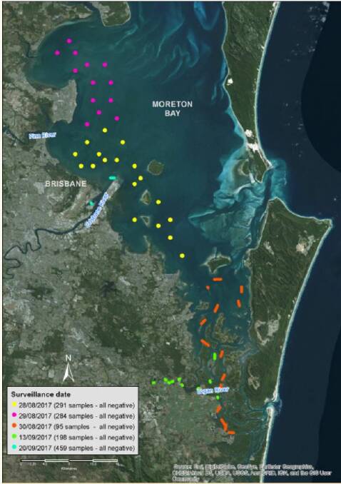NO SIGNS: Samples for white spot testing were taken in August and September throughout Moreton Bay. Photo: Department of Agriculture and Fisheries