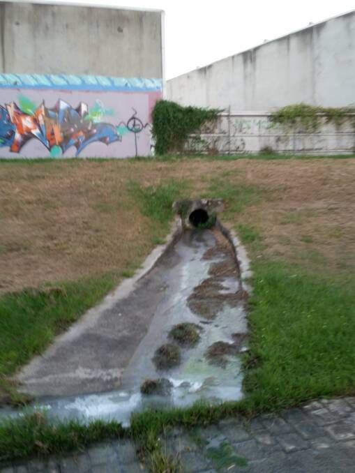 POLLUTED: The contaminated water flowing from stormwater drains into the catchment. Photo: Milton Ludlow.