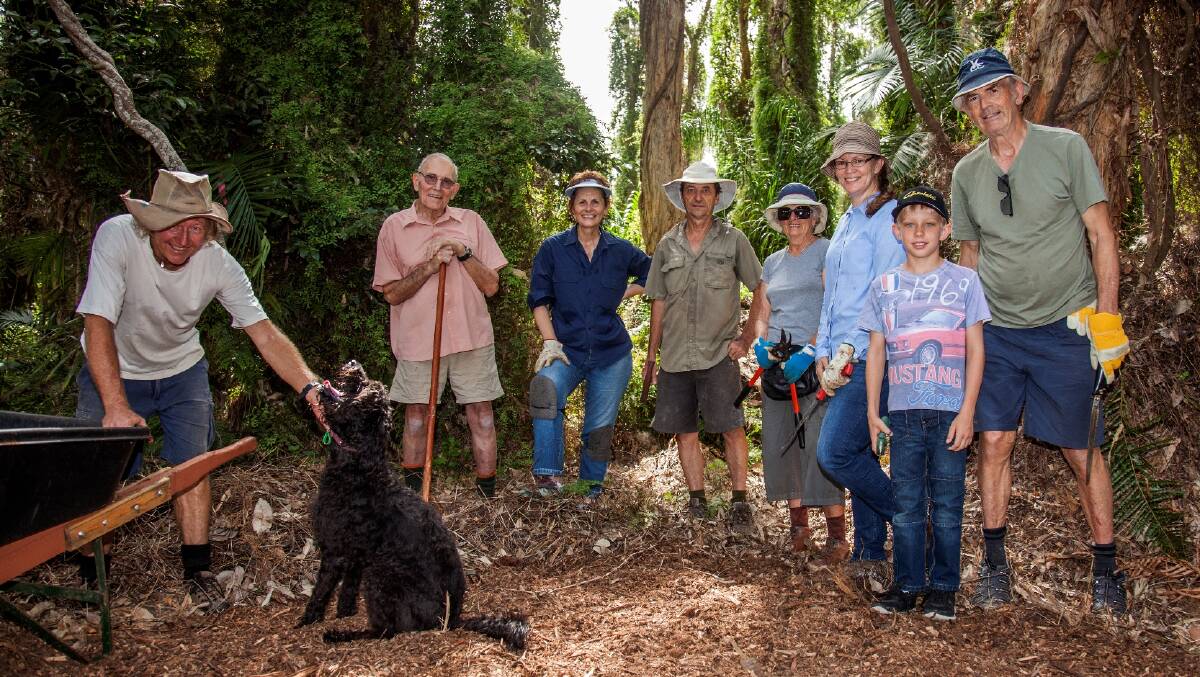 HELPING HANDS: Join the Egret Colony Wetlands Bushcare group, pictured, Conservation Volunteers Australia and Redland City Council representatives for tree planting fun on Saturday, February 3.  Photo Supplied