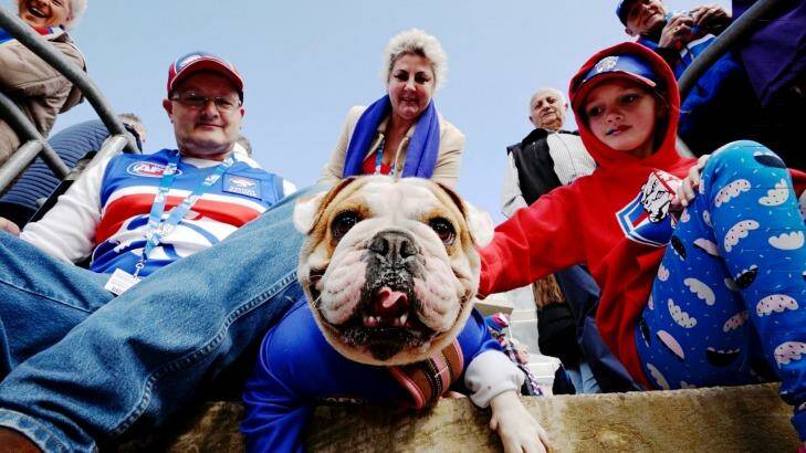 Raising the woof: Bulldog Candy, with owners Shane, Lilly and Lorraine Blythe, at Whitten Oval.  Photo: Justin McManus