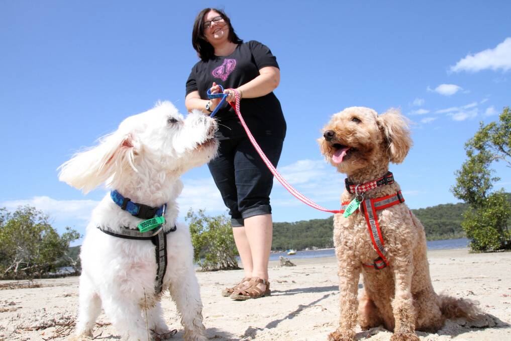 Russell Island resident Janelle with her dogs Archie the Maltese shih tzu and Lexie the spoodle, both of which were viciously attacked by unleashed dogs at the island's Sandy Beach. The attack was the catalyst for Janelle to launch a campaign to encourage all dog owners to walk their dogs on leads. Photo by Chris McCormack