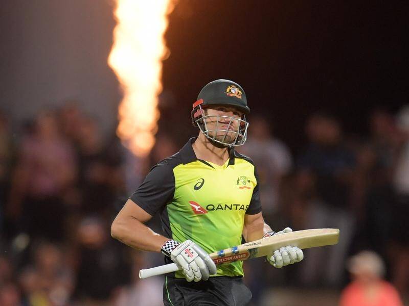 It will be a happy return for Marcus Stoinis to Eden Park where he launched his international career