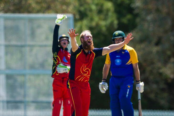 Cricket ACT John Gallop Cup Tuggeranong Vs North Canberra-Gungahlin 2017. Dimmy Floros celebrates after hitting an LBW on Rohan Wight. Photo: Dion Georgopoulos
