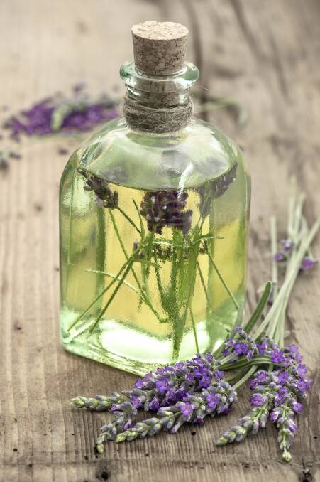 MANY USES: Lavender oil  is a natural antibiotic and antiseptic, which promotes healing and prevents scarring. 