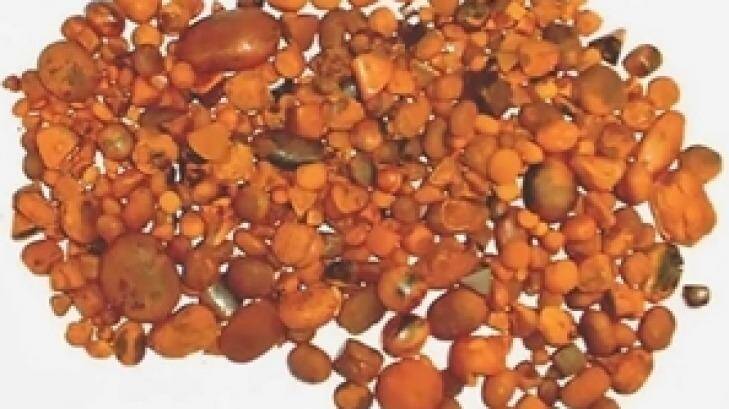 Police have uncovered allegedly stolen gallstones at a Toowoomba property. Photo: Supplied