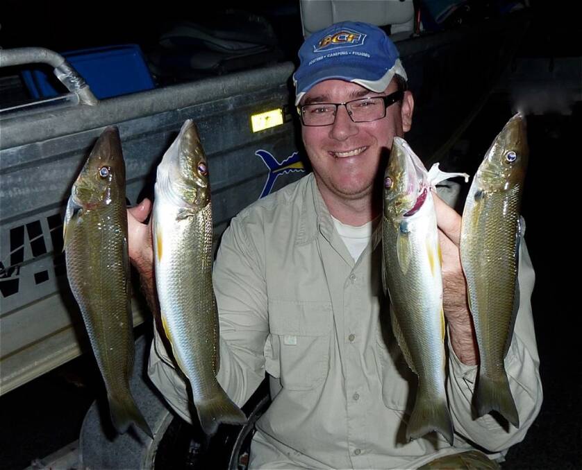 Fishing: Tailor and whiting giving best results