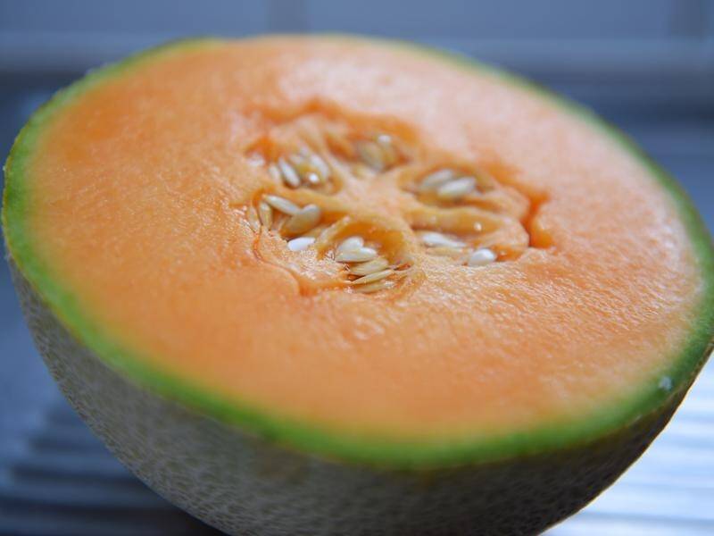 A listeria outbreak linked to rockmelons has forced growers to lay off fruit pickers.