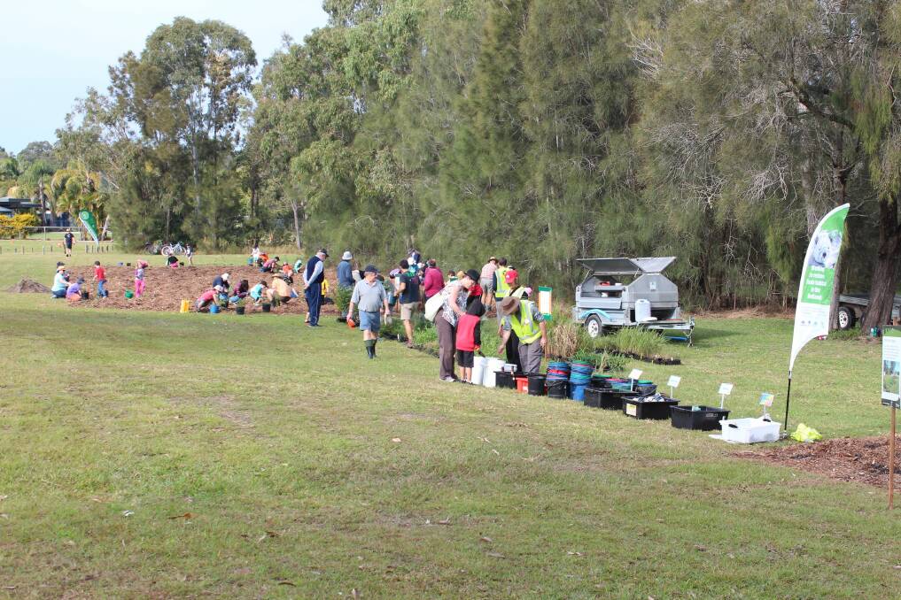The Redlands IndigiScapes National Tree Day planting helped beautify Tingalpa Creek with 3000 new plants.