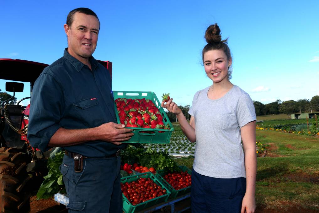 Wellington Point Farm manager Adrian Lynch and shop assistant Naomi Kuss with trays of freshly picked strawberries. Photo: Stephen Archer .
