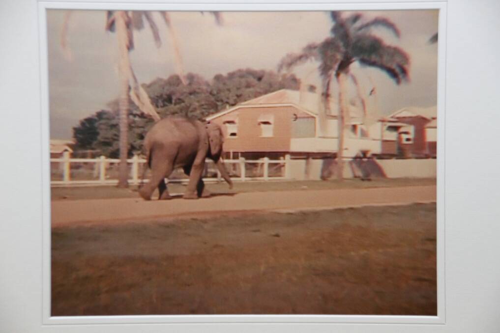 THERE'S AN ELEPHANT IN MY STREET: This photographic still from one of Leona Kyling's films shows Middle Street, Cleveland, as a dirt road as an escaped circus elephant makes its get-away.