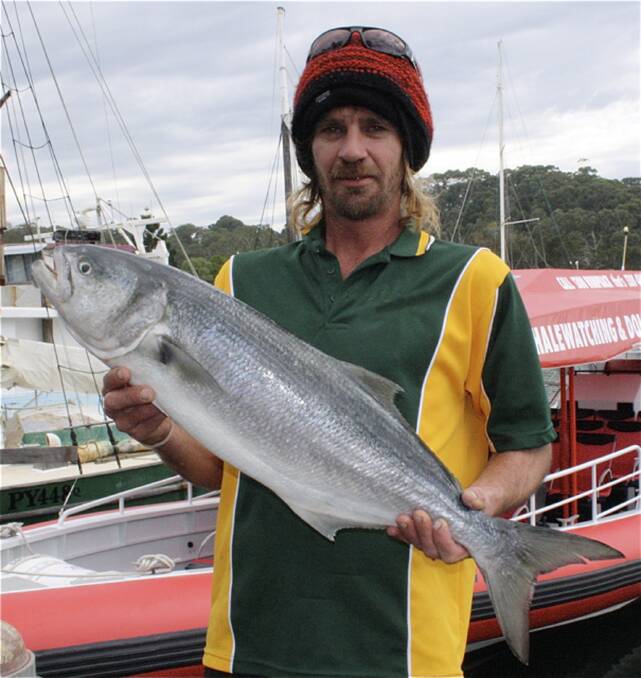 Mackerel and tuna action in Moreton Bay