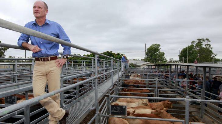 Premier Campbell Newman at the Emerald Sales Yard. Regions will be crucial to the balance of power. Photo: Renee Melides