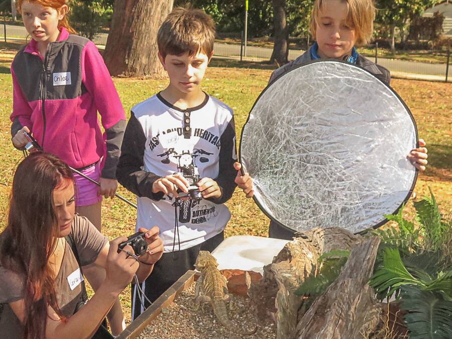 STUDENTS from Victoria Point State High School and Russell Island State School, from left, Grace, Chloe, George and Joe, work together to photograph a bearded dragon.