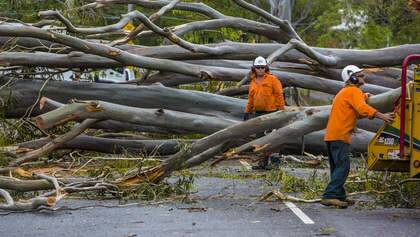 BRISBANE, AUSTRALIA - NOVEMBER 28:  Storm damage in Toowong on November 28, 2014 in Brisbane, Australia.  (Photo by Glenn Hunt/Fairfax Media) Photo: Glenn Hunt