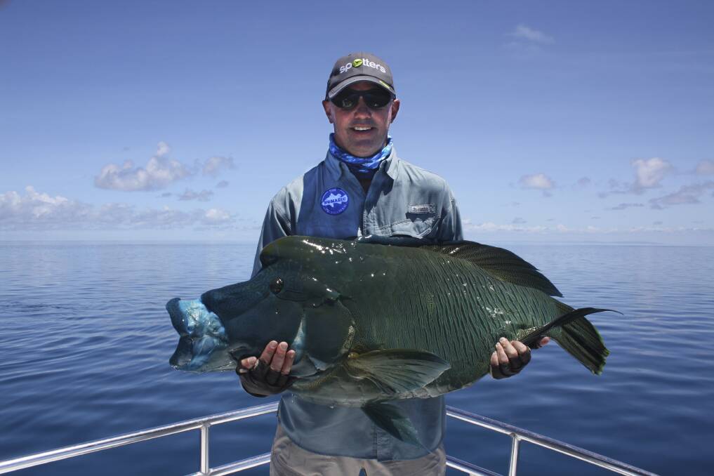 Steve Doyle ‘The Nomadic Fisherman’ with a large wrasse caught and released from a recent trip to Jewel Reef north of Lizard Island.
