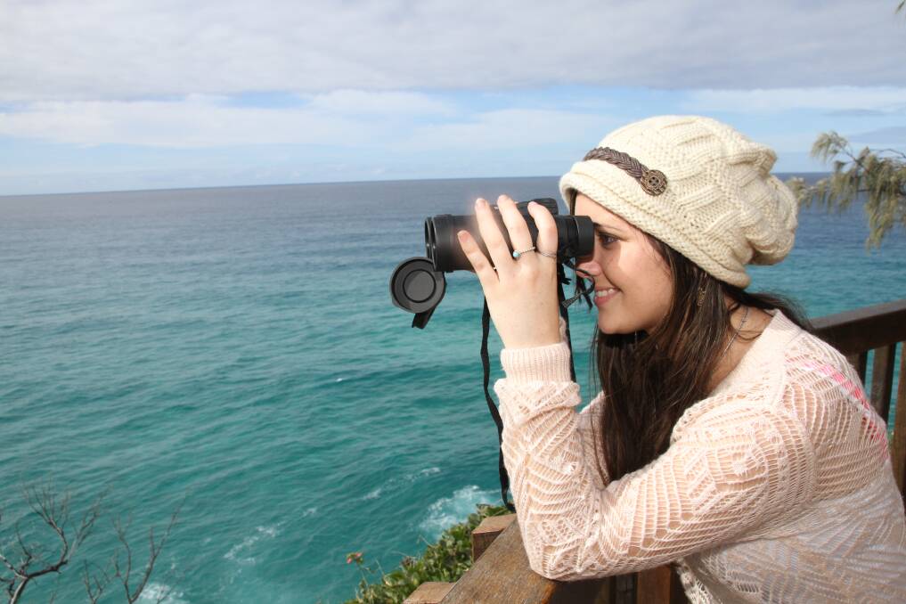 Straddie: top spot to watch whales 