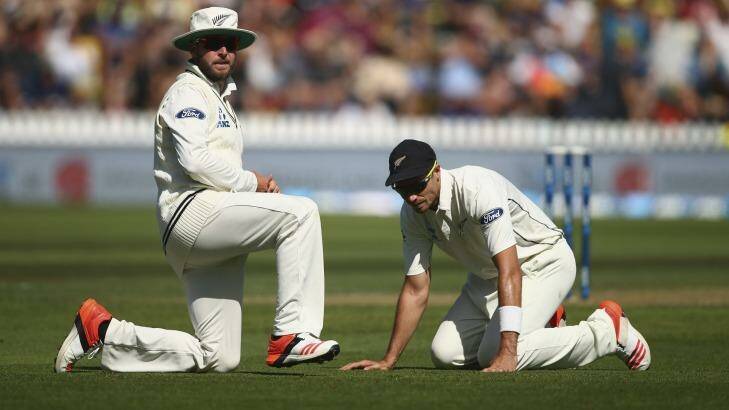 Mark Craig and Tim Southee lament Mark Craig's dropping of Steve Smith. Photo: Ryan Pierse