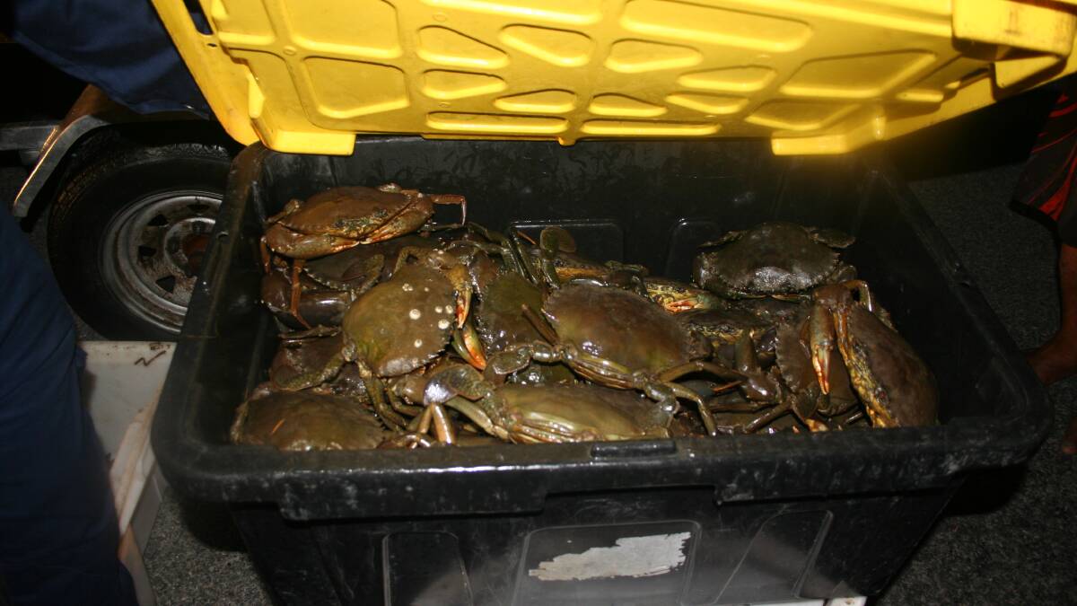 Crab nabber caught and fined $35,380