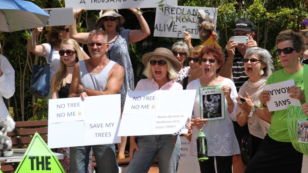 Koala tree rally calls for land donation |Video