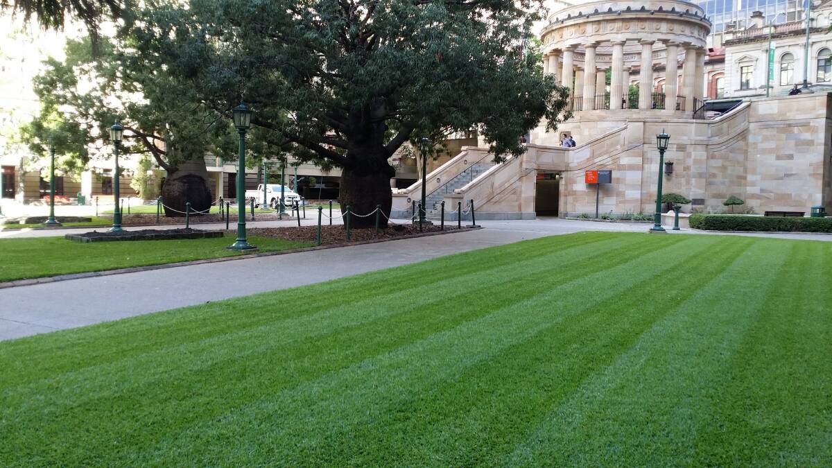 Brisbane's Anzac Square where Certified Mowing has transformed the grass into a lush emerald green.