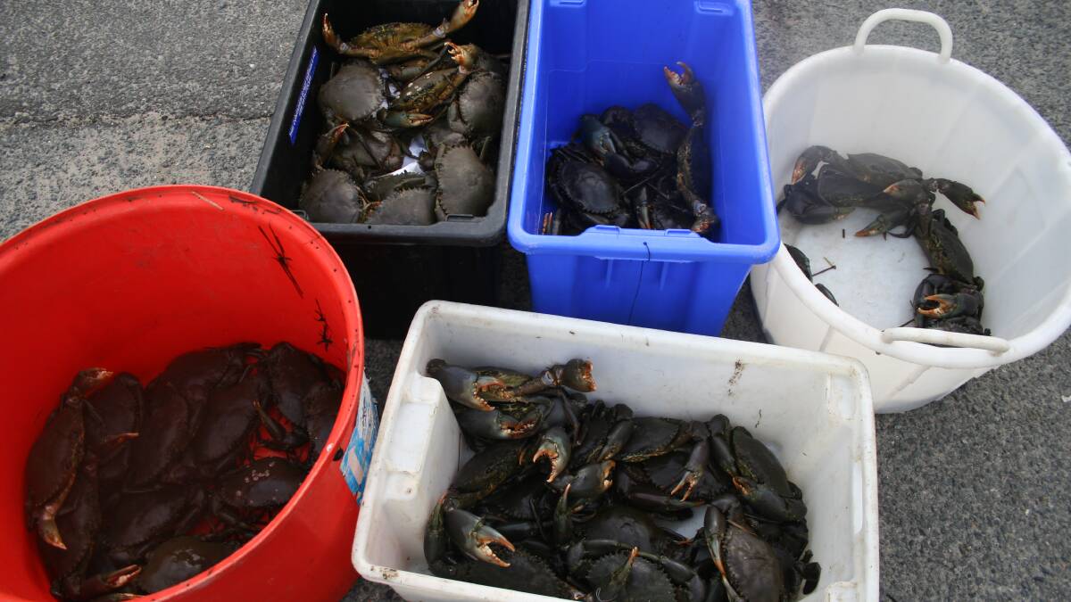 Crab nabber caught and fined $35,380